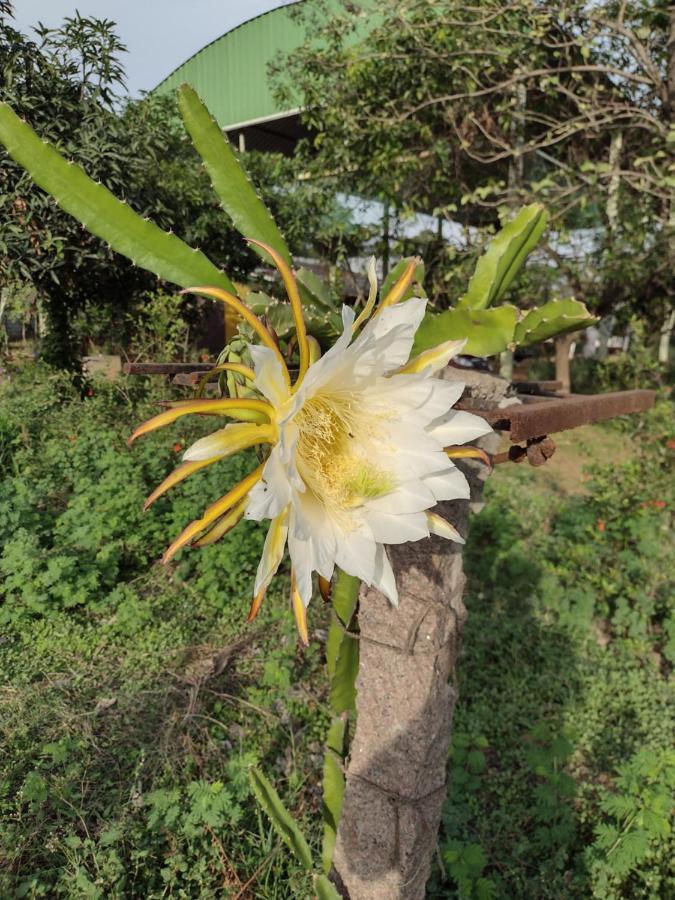 Hornbill Farm Resort Hyderabad Exterior foto